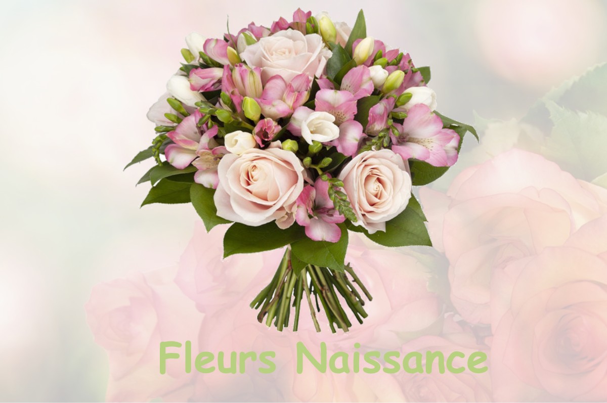 fleurs naissance LAUNOIS-SUR-VENCE